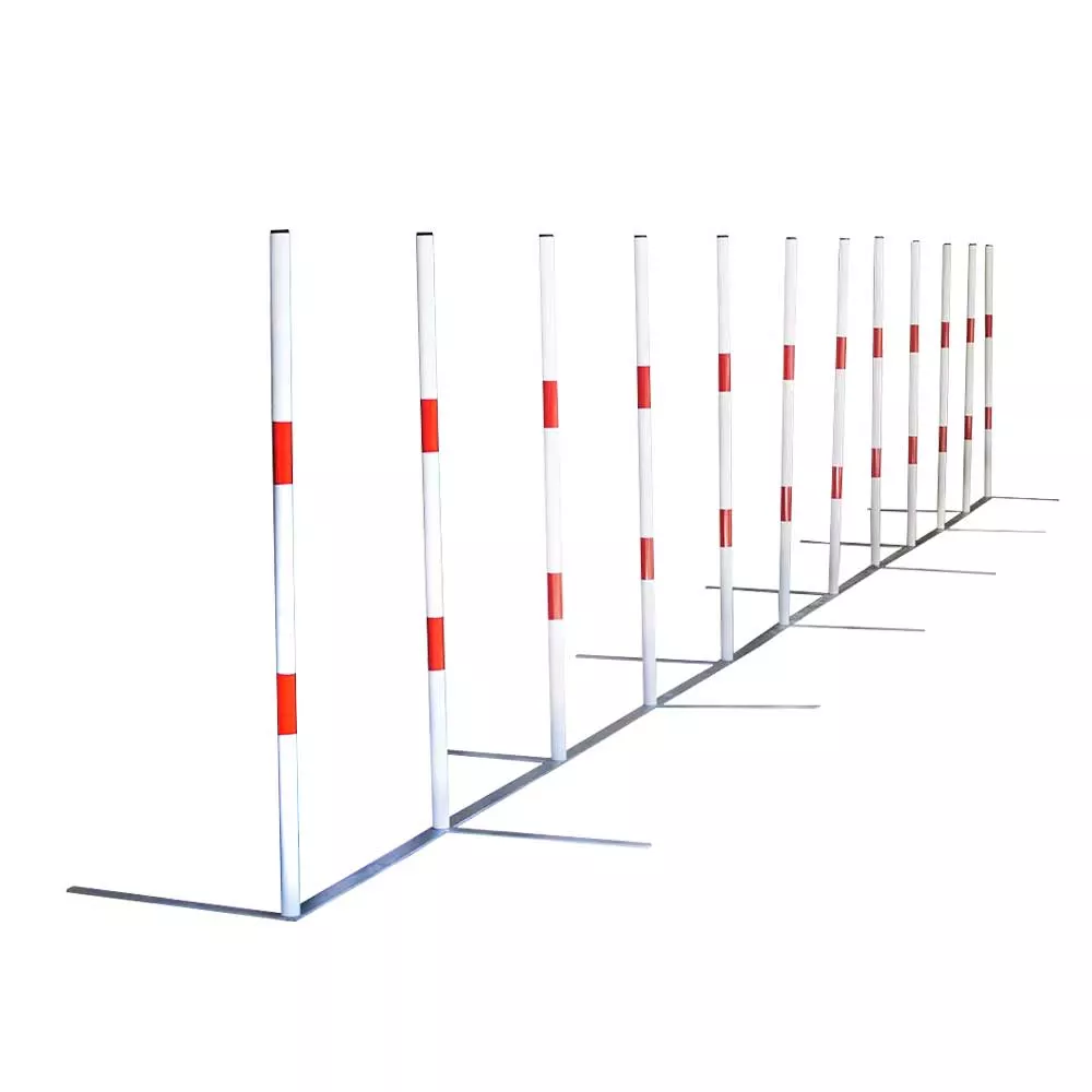Slalom BASE FCI